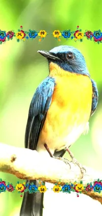 Introducing a stunning live wallpaper for your phone - featuring a breathtaking blue and yellow bird sitting on a branch amid rich, caramel-toned elements and ornate Shipibo designs