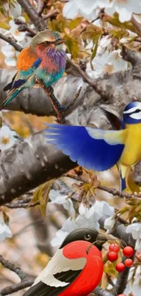 Nature Bird Organism Live Wallpaper