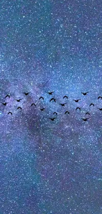 Looking for a stunning phone live wallpaper that will take your breath away? Check out this amazing cosmic scene depicting a flock of birds flying across a starry night sky while a majestic cosmic canada goose glides across the horizon