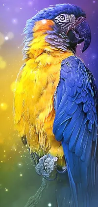 Nature Bird Painting Live Wallpaper