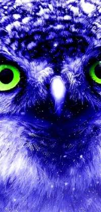 Transform your phone into a portal to the world of owls with this stunning live wallpaper