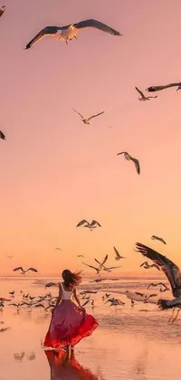 Nature Bird Sky Live Wallpaper