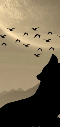 This phone live wallpaper features a stunning silhouetted image of a howling wolf standing in front of a flock of birds