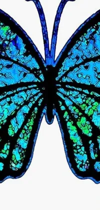 Nature Blue Arthropod Live Wallpaper