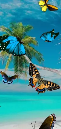 This mesmerizing phone live wallpaper features a group of graceful butterflies fluttering around a serene palm tree, set against a tranquil blue waters backdrop