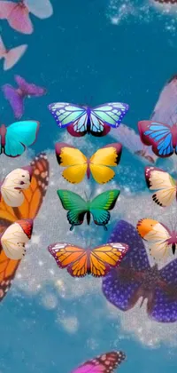 Enjoy a lively and colorful phone display with this stunning live wallpaper of fluttering butterflies in the clear blue sky