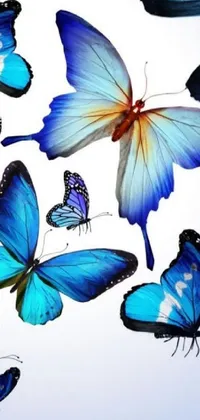 This phone live wallpaper showcases a group of blue butterflies flying next to each other