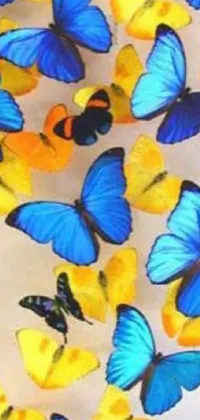 Transform your phone's screen into an enchanting butterfly haven with this lively live wallpaper