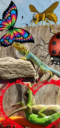 This phone live wallpaper features a colorful scene of a lizard sitting on a wooden post against a photo-inspired background, with graffiti art and fluttering butterflies