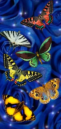 This live wallpaper captures the serene beauty of butterflies perched on a vibrant blue rose