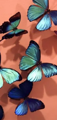 This phone live wallpaper showcases a beautiful depiction of blue and green butterflies hanging on a wall