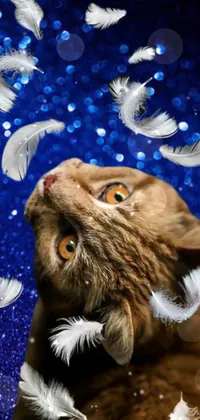 Nature Carnivore Cat Live Wallpaper