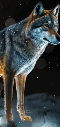 This stunning phone wallpaper depicts a majestic wolf standing in the snow at night
