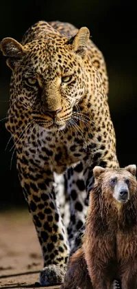 This phone live wallpaper is a captivating visual masterpiece that features a large leopard strolling alongside a small bear