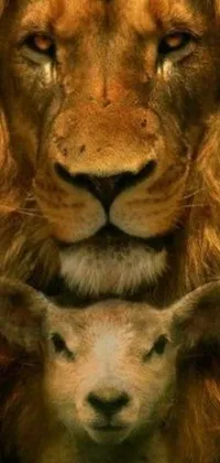 This phone live wallpaper showcases a captivating illustration of a lion and a lamb standing next to each other