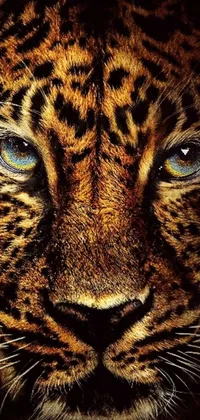 This phone live wallpaper features a dynamically rendered close-up image of a leopard's Amazonian face and symmetrical, fierce blue eyes