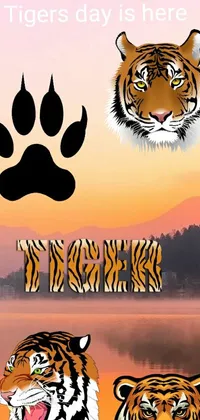 This phone live wallpaper showcases a striking design of a tiger's paw captured in three different positions