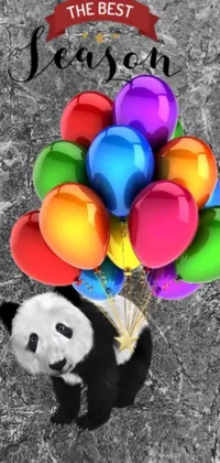 This colorful phone live wallpaper features a playful panda bear holding a vibrant bouquet of balloons against a graffiti-inspired background