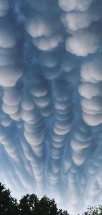 This stunning live wallpaper for your phone features an enchanting sky filled with fluffy cloud formations resembling puffballs