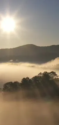 Nature Cloud Fog Live Wallpaper