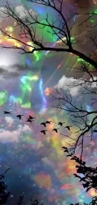 Nature Cloud Light Live Wallpaper