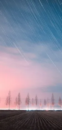 Experience a mesmerizing live wallpaper featuring a lush field with tall trees and an aesthetic quality