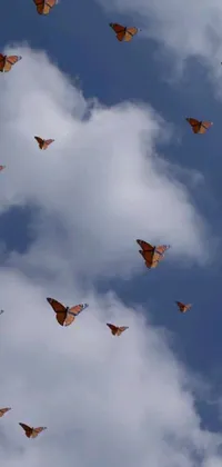 This phone live wallpaper showcases a stunning flock of butterflies soaring elegantly in the clear blue sky