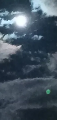 This phone live wallpaper features a beautiful image of a person flying a kite against a cloudy sky