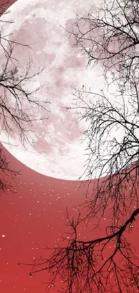 This live wallpaper features a beautiful digital artwork of a bird perched on a tree branch under a full moon