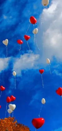 Looking for a stunning live wallpaper for your phone? Look no further than this HD 4K wallpaper featuring a serene blue sky and a bunch of red and white balloons creating a romantic scene