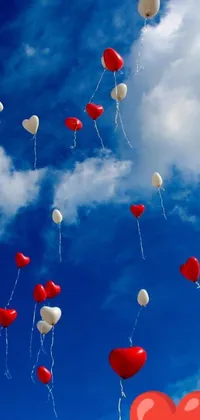 This 4k live wallpaper features a delightful display of red and white balloons floating amidst a sky blue background, creating a festive and romantic atmosphere