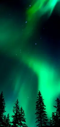 Bring the enchanting beauty of the northern lights right to your phone with this exquisite live wallpaper
