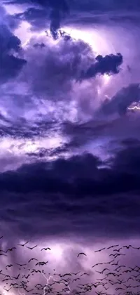 This live wallpaper features a stunning image of birds flying against a romantic deep purple sky