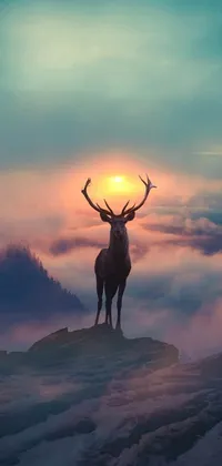 Looking for a stunning phone live wallpaper that brings nature's beauty to your device? Look no further than this captivating scene! Featuring a majestic deer standing atop a snow-covered mountain in front of a sunlit sky, it's sure to add a touch of romance and wonder to your home screen