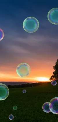 This live wallpaper features vibrant soap bubbles floating in the air against a stunning sunset backdrop