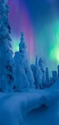 This phone live wallpaper showcases a breathtaking winter scene with snow-covered trees, a cozy cabin, and vibrant northern lights in shades of blue and green