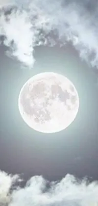 This phone live wallpaper depicts a serene night sky with a majestic plane flying across it while a full moon shines in the background