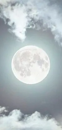 This phone live wallpaper offers an enchanting sight of a plane gliding through the night sky against a luminous full moon