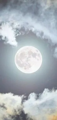 Looking for a breathtaking phone live wallpaper? Check out this stunning design featuring a plane flying across the sky in front of a round, white full moon