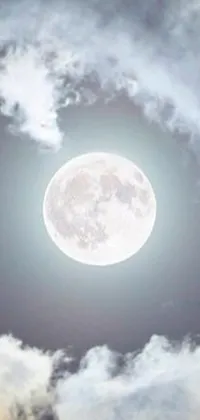 Looking for a stunning live wallpaper for your phone? Look no further! This wallpaper features a plane flying in the sky with a full moon in the background, creating a serene and peaceful atmosphere