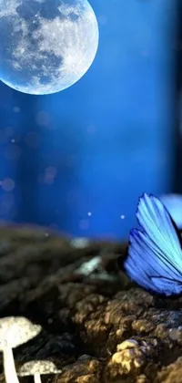This stunning blue butterfly live wallpaper features a mesmerizing digital art of a butterfly sitting on a rock with a full moon in the background