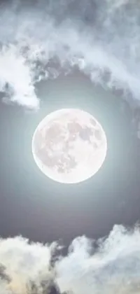 This phone live wallpaper depicts a plane soaring in a starlit sky against a full moon