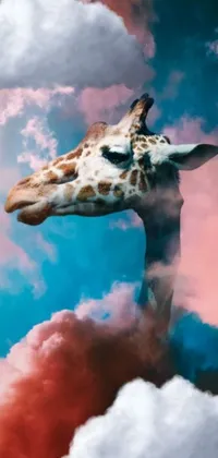 giraffe art tumblr
