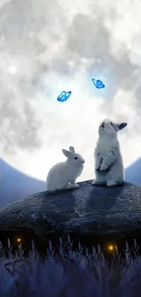 This live wallpaper features two cute rabbits sitting on a rock in front of a stunning full moon