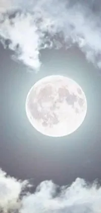 Enjoy a captivating phone live wallpaper with an airplane soaring in the sky against a full moon backdrop