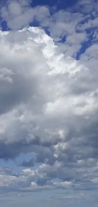 Enjoy a smooth and realistic live wallpaper featuring a man flying a colorful kite over a vibrant greenfield and towering cumulonimbus clouds