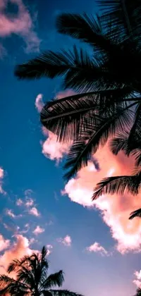 Get a taste of Hawaii with this stunning live wallpaper - featuring two palm trees swaying gently in the breeze against a backdrop of pink and purple clouds