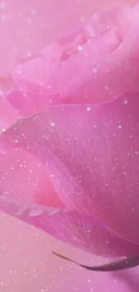 This live wallpaper boasts a stunning pink flower with water droplets on delicate petals against a pink background with white dots