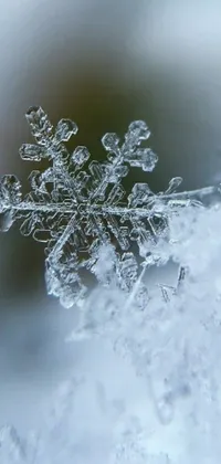 Nature Droplet Snow Live Wallpaper