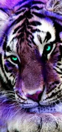 Bring the strength and beauty of a wild tiger to your phone screen with this stunning live wallpaper